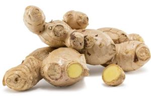 Organic Fresh Ginger for Cooking