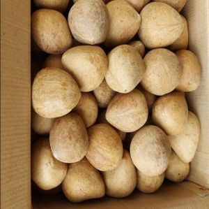 Dry Coconut Copra for Cooking, Snacking, Baking