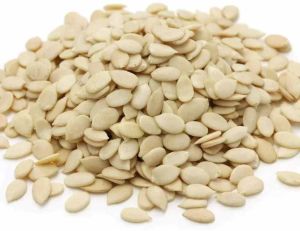 A Grade Watermelon Seed