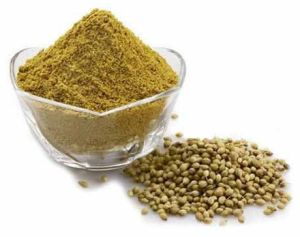 Dried Coriander Powder