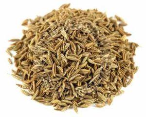 Brown Natural A Grade Cumin Seed, Packaging Type : Plastic Bag
