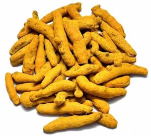 Whole Dry Turmeric Finger