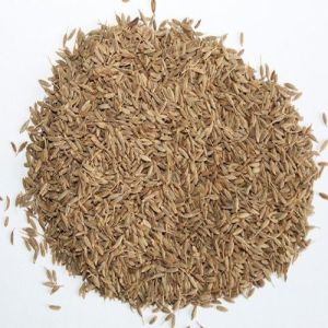 European Quality Cumin Seeds