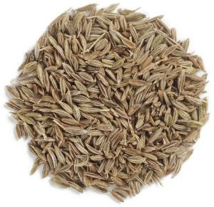 Organic Faq Quality Cumin Seeds, Seed Type : Natural Food Grade