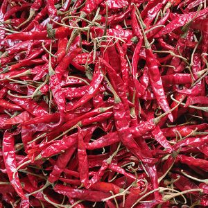 Organic Teja S17 Dried Red Chilli Food Grade for Cooking