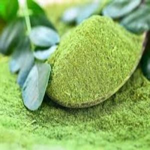 moringa powder
