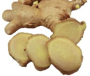 A Grade Fresh Ginger