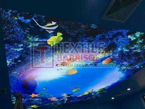 PVC Or Textile Membranes Shades OF Blue 3D Aqua Stretch Ceiling