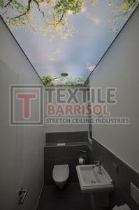 Customized Textile Barrisol 3D Bathroom Stretch Ceiling