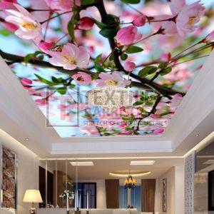 PVC Floral Stretch Ceiling Antique, Brand Name : Textile Barrisol