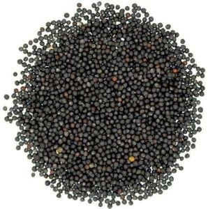 Organic Black Mustard Seeds, Seed Type : Natural 8%