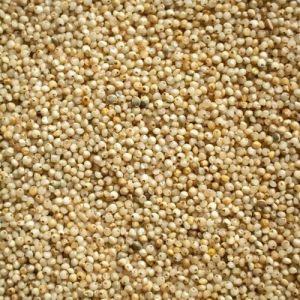 Kodo Millet Seeds