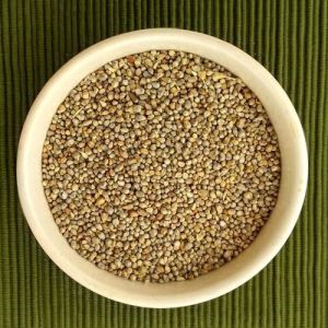 Little Millet Seeds