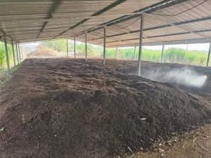 Organic Matter Vermicompost Fertilizer, Color : Brown