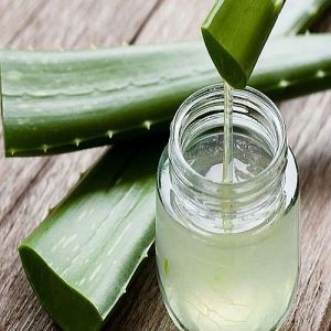 Water Pure Aloe Vera Gel, Color : Green, Purity : 100%