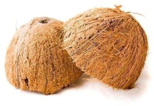 Hard Mature Coconut Shell