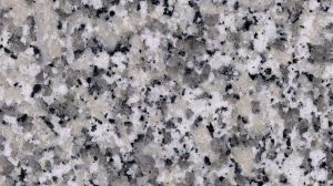 Bianco Sardo Granite Slab