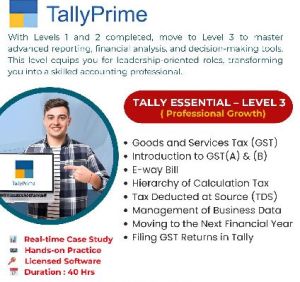 Level 3 Tally Training Services