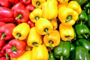 Fresh Bell Peppers for Cooking, Shelf Life : 3-5 Days