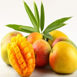Natural Fresh Kesar Mango, Packaging Size : 25-50kg