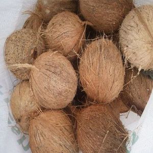 Fully Husked Coconut