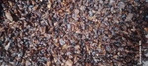 Sweet Scented Supari, Color : Brown 5to 6 Mm Granules