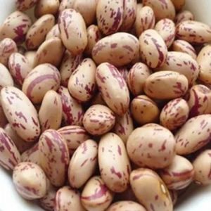 Light Brown With Speckles Dried Pinto Beans, Packaging Type : PP Bag