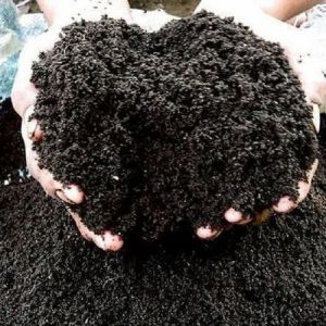 Farm Grade Vermi Compost, Packaging Type : 20 Kg Bag