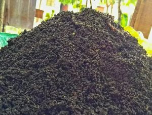 Premium Organic Vermi Compost