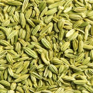 Green Organic Fennel Seeds, Seed Type : Natural Food Grade