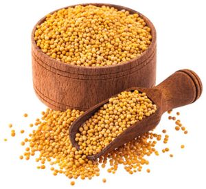 Yellow Mustard Seeds