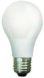 12 Watt LED Bulb