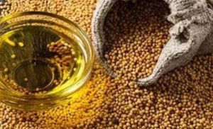 Mustard Oil