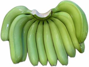 A Grade G9 Cavendish Banana, Color : Green