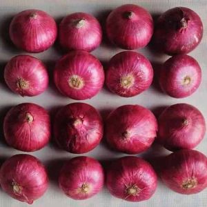 A Grade Maharashtra Fresh Red Onion, Shape : Round