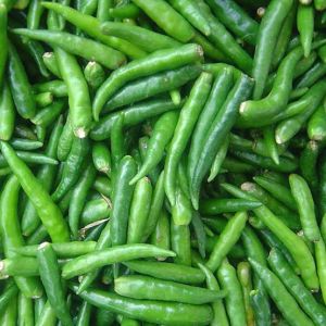 A Grade Fresh Green Chilli, Packaging Type : Bag for Culinary