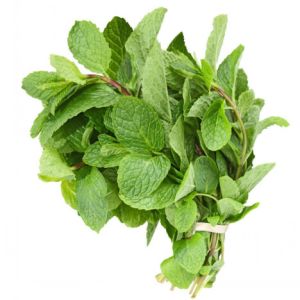 Organic Fresh Mint Leaves, Color : Green, Packaging Size : 25-30kg