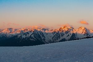 Digital Marketing Service Agency