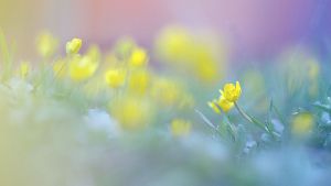 Digital Marketing Services Agency