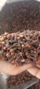 Brown Clove, Packaging Type : Sealed Container