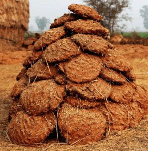 Desi Cow Dung Cake, Color : Brown, Packaging Type : Bags