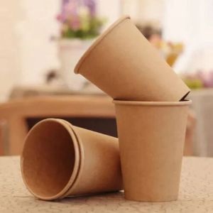 Biodegradable Cup