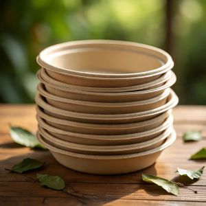 Plain Polished Areca Leaf Plate, Color : Light Brown for Serving Food