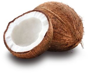 coconut
