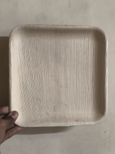 Areca Leaf Plates Tray
