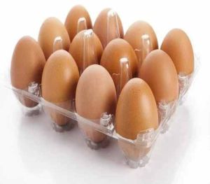 Eggshell Brown Table Egg, Packaging Type : 12 Trays Per Carton