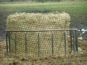 Cattle Hay Animal Feed, Packaging Type : Compressed Bales & Pellets