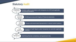 Statutory Audit
