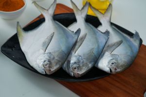 Marine Fish, Color : Silver for Home, Restaurant