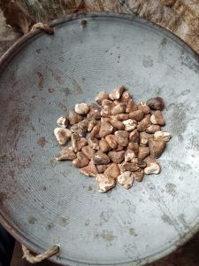 Organic Dry Water Chestnut for Human Consumption